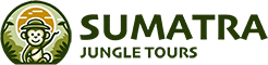 Sumatra Jungle Tours